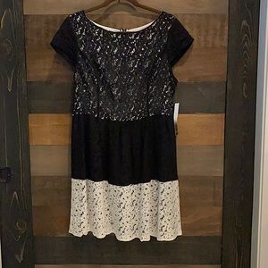 Kensie Black and White Lace Fit and Flare Dress